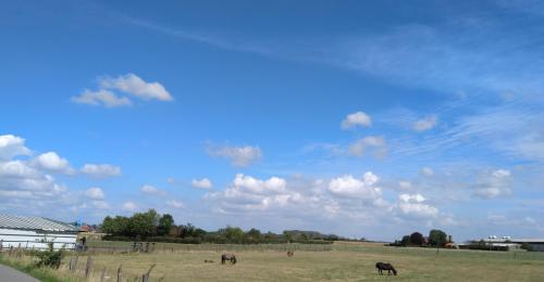 speurtocht gezinsbond elen